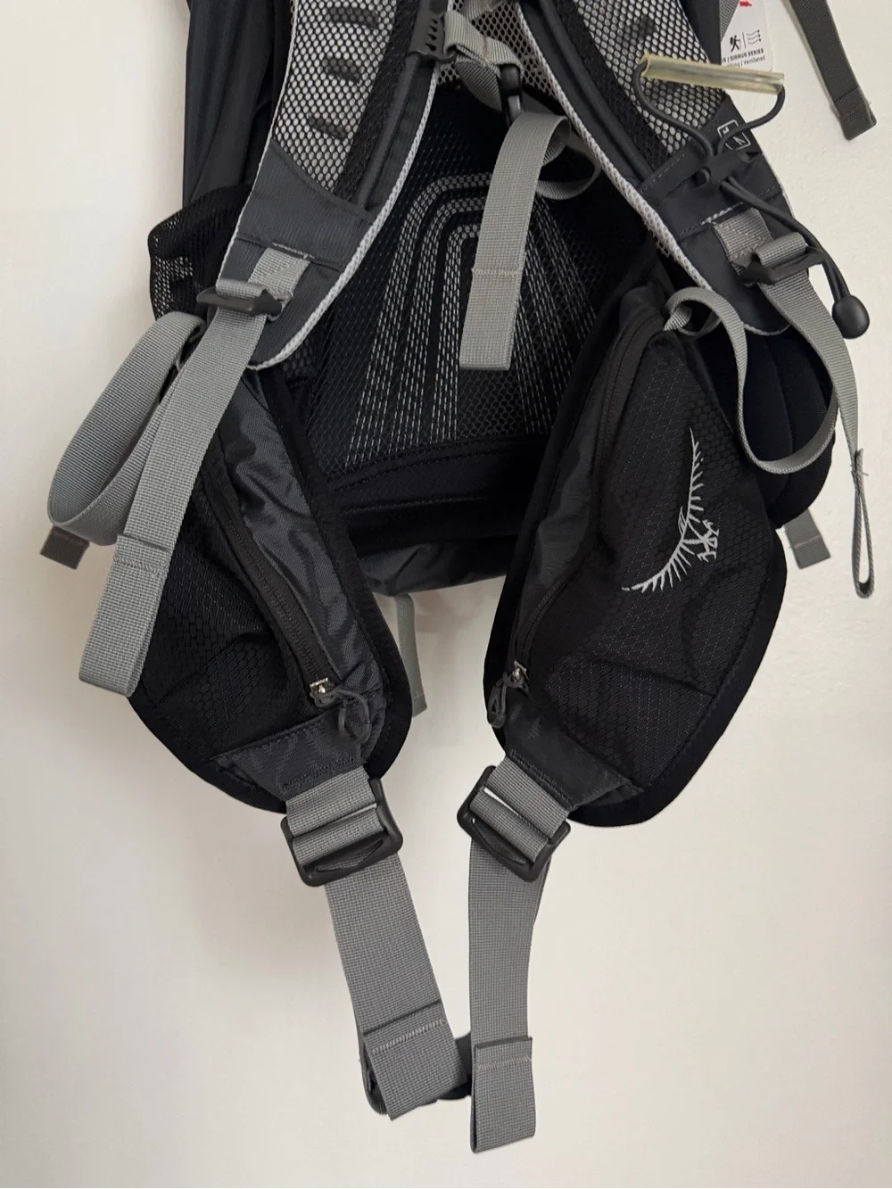 Osprey Stratos 26 Hiking Backpack Anthracite Black Hip Belt Padded Back Pannel